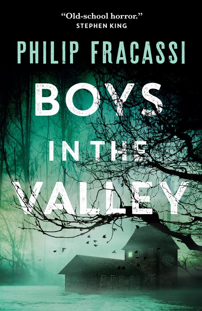 Produktbild: Boys in the Valley | Philip Fracassi