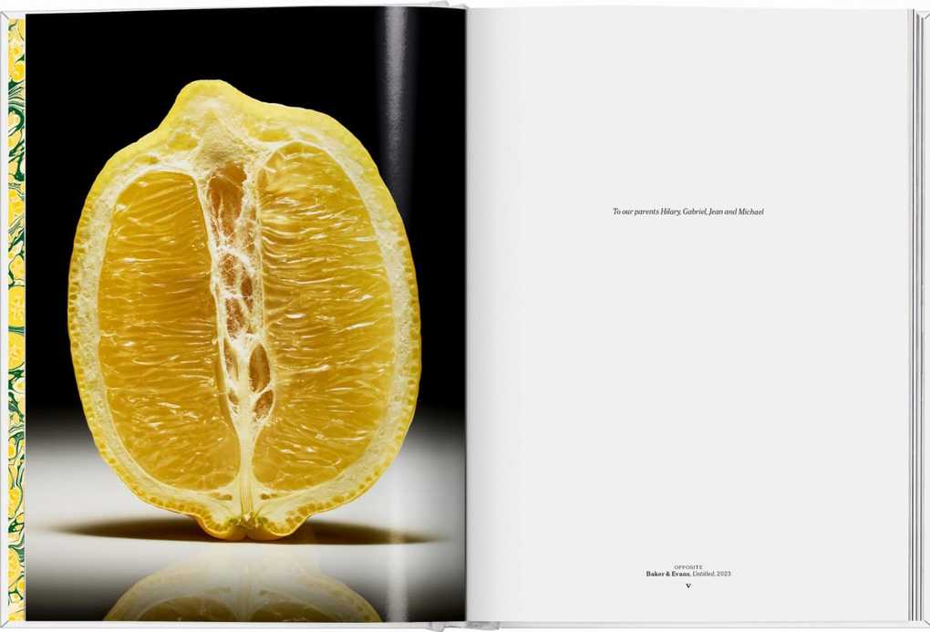 Weitere Ansicht: The Gourmand's Lemon | The Gourmand