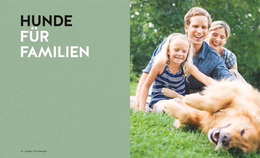 Weitere Ansicht: Finde den Hund, der zu dir passt | Xx