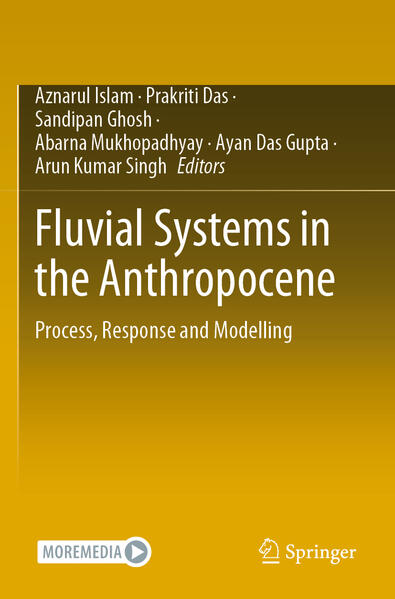 Produktbild: Fluvial Systems in the Anthropocene