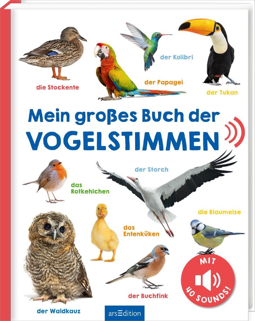 Produktbild: Mein großes Buch der Vogelstimmen