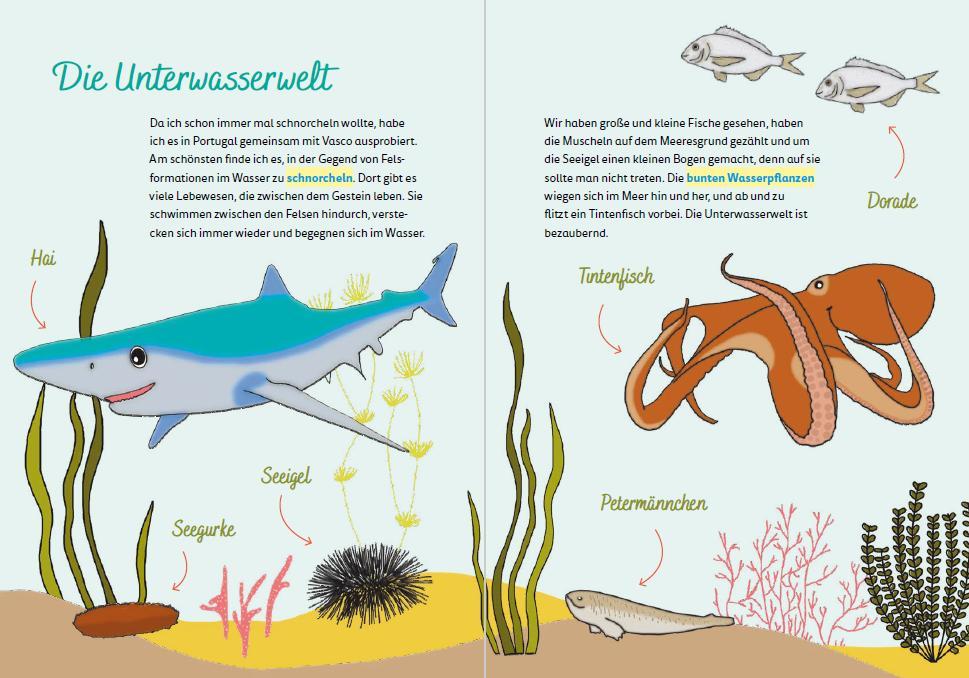 Weitere Ansicht: Portugal for kids | Britta Schmidt von Groeling