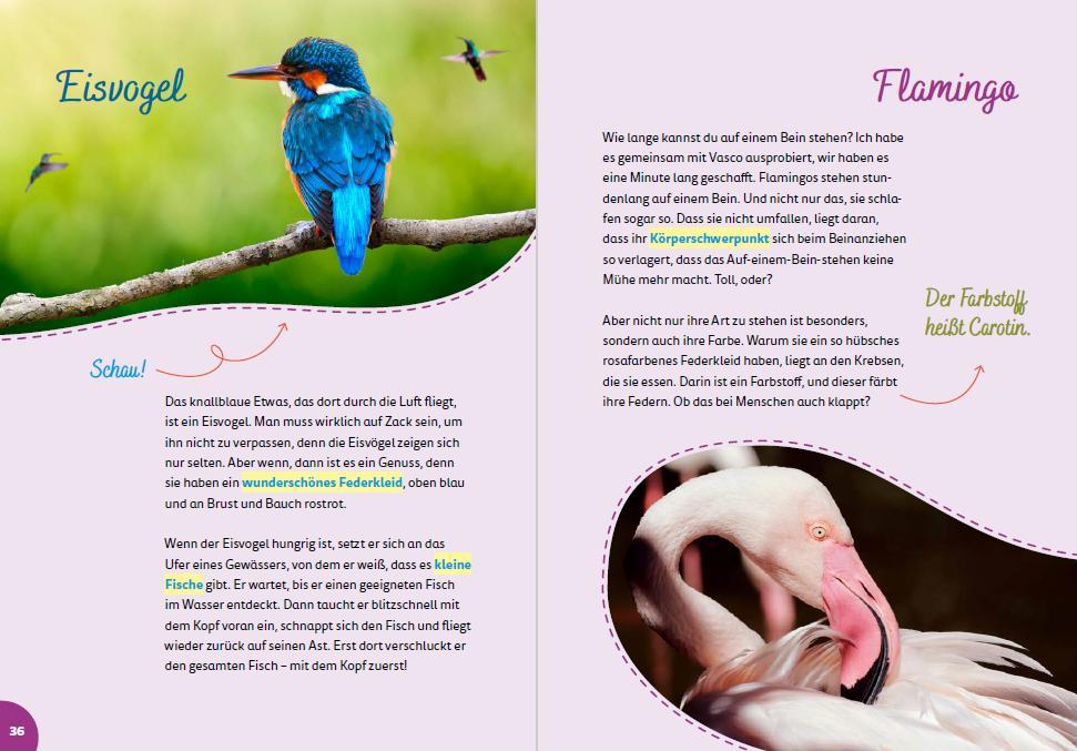 Weitere Ansicht: Portugal for kids | Britta Schmidt von Groeling
