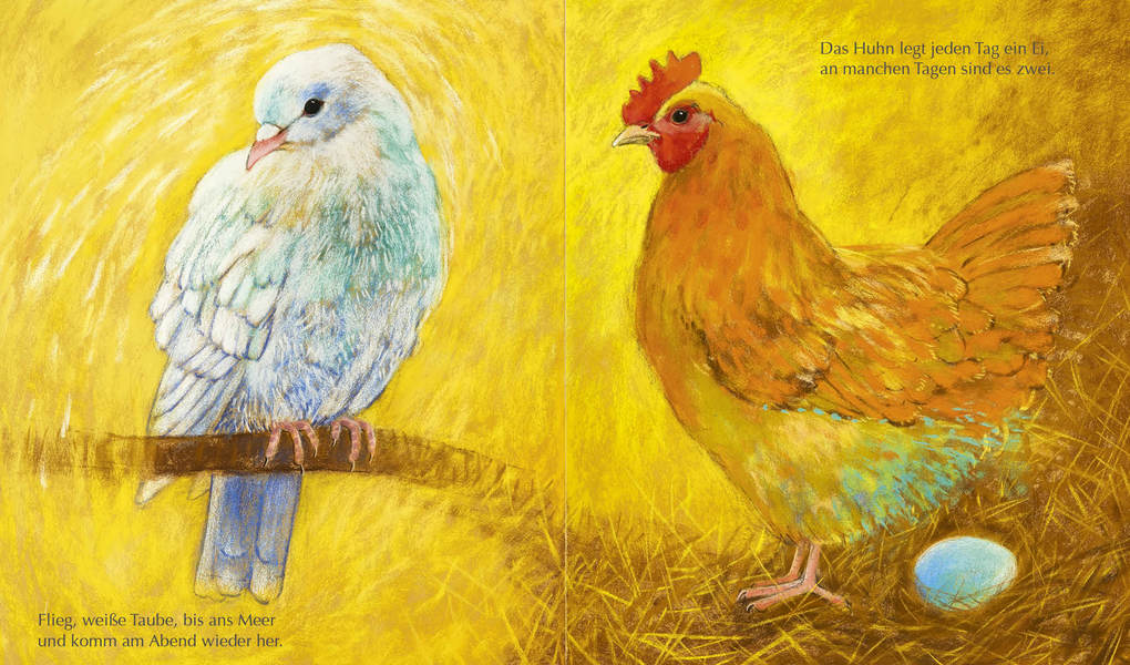 Weitere Ansicht: Mein kleines Haustierbuch | Loes Botman