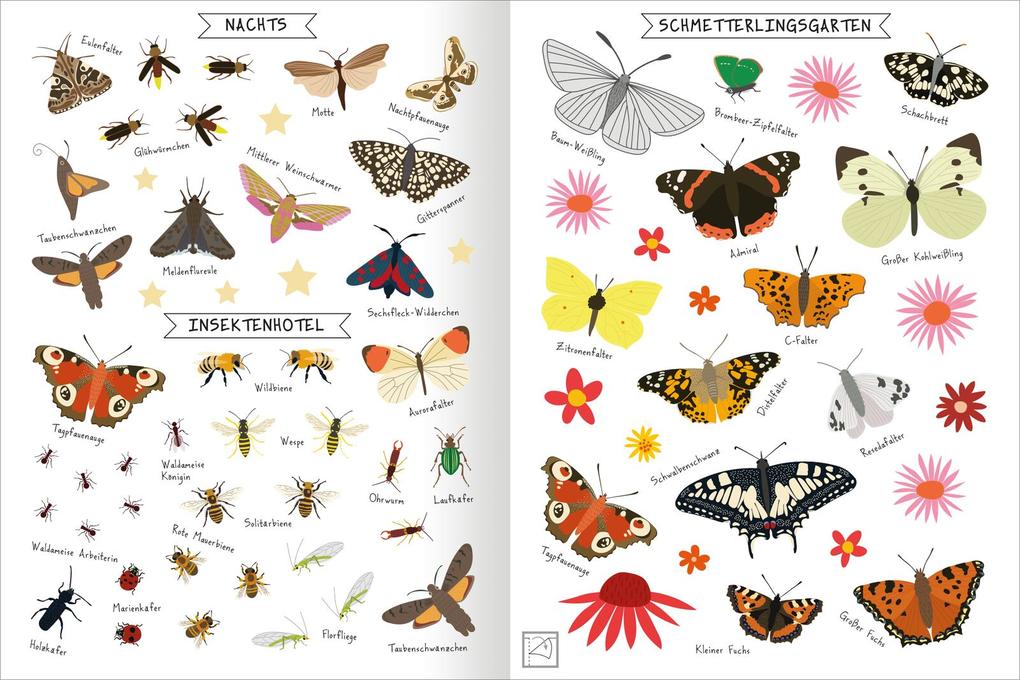 Weitere Ansicht: Naturforscher-Kids - Stickerheft Insekten