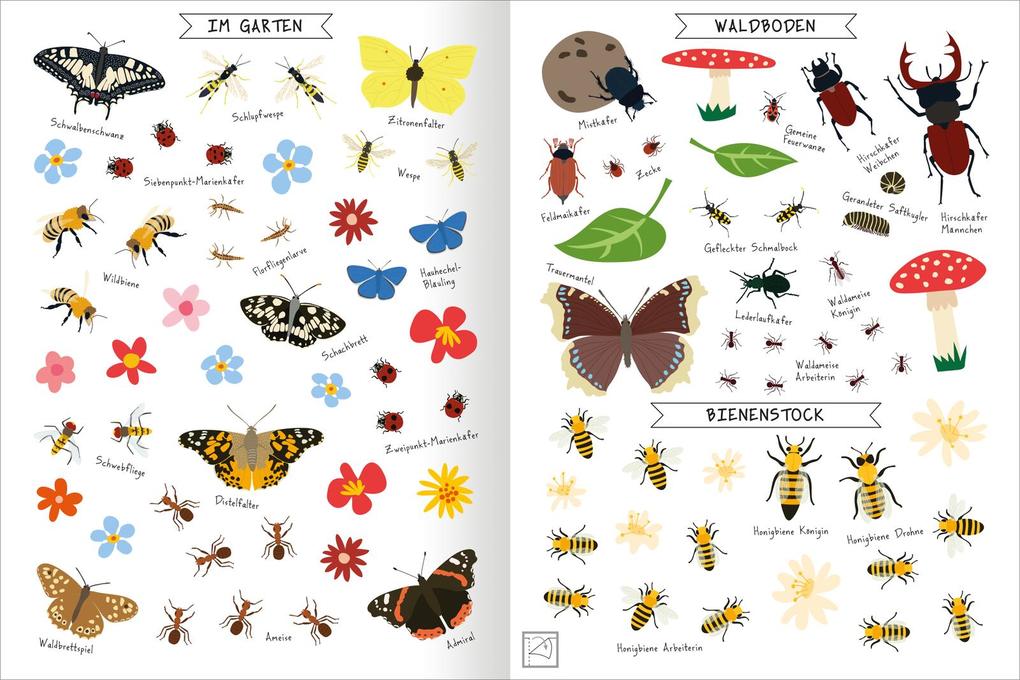 Weitere Ansicht: Naturforscher-Kids - Stickerheft Insekten