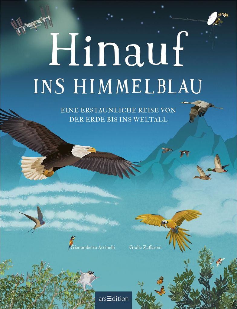 Weitere Ansicht: Hinauf ins Himmelblau | Gianumberto Accinelli
