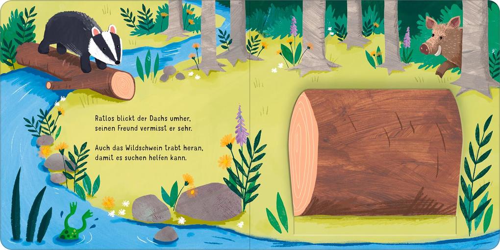 Weitere Ansicht: Klapp auf! Wer versteckt sich im Wald? | Elena Bruns