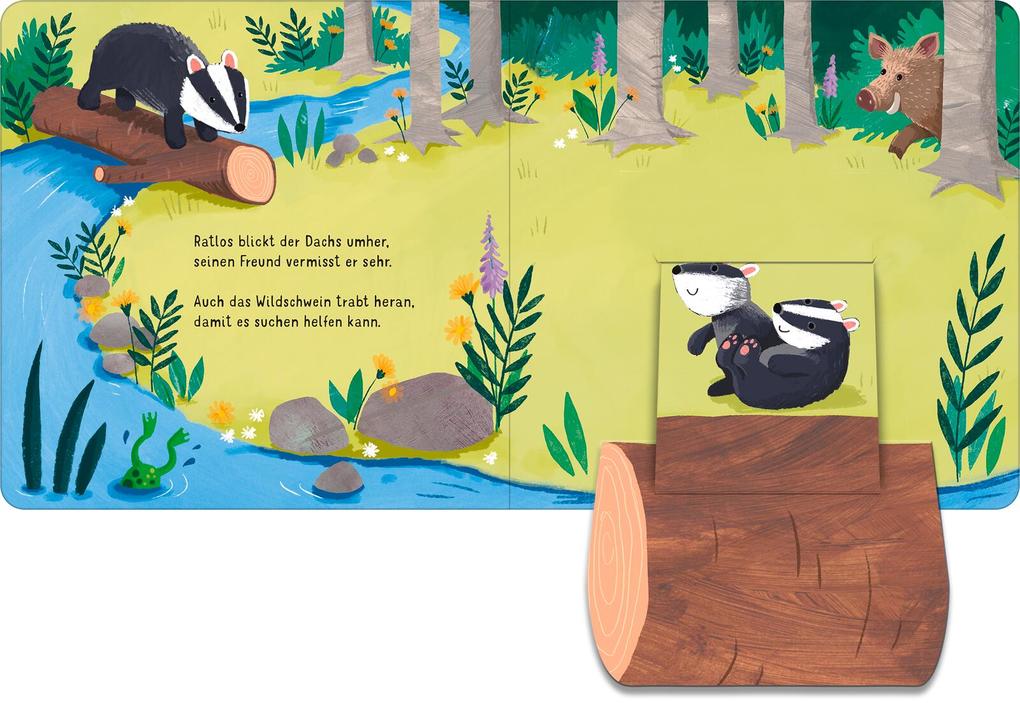 Weitere Ansicht: Klapp auf! Wer versteckt sich im Wald? | Elena Bruns