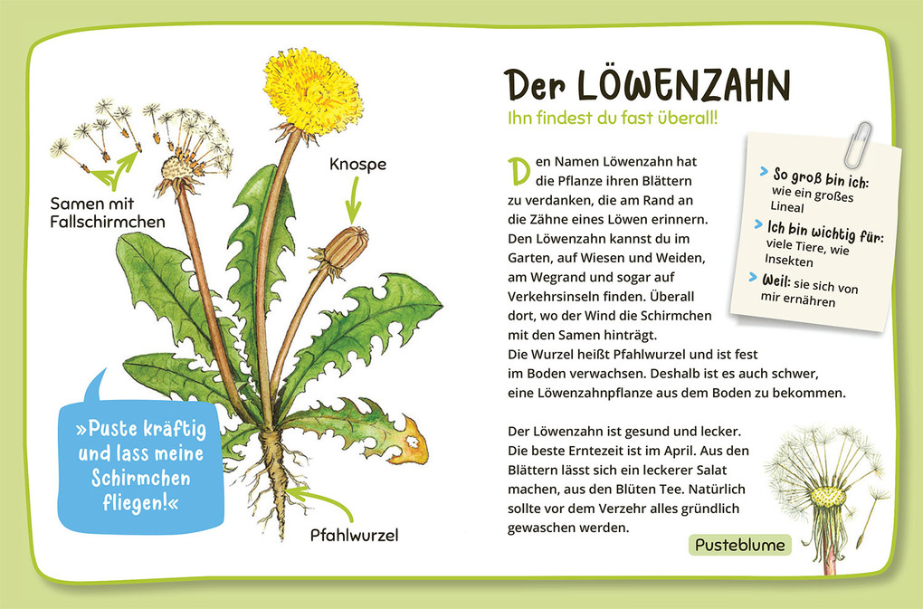 Weitere Ansicht: Mein erster Naturführer Was lebt im Garten? | Julia Hiller