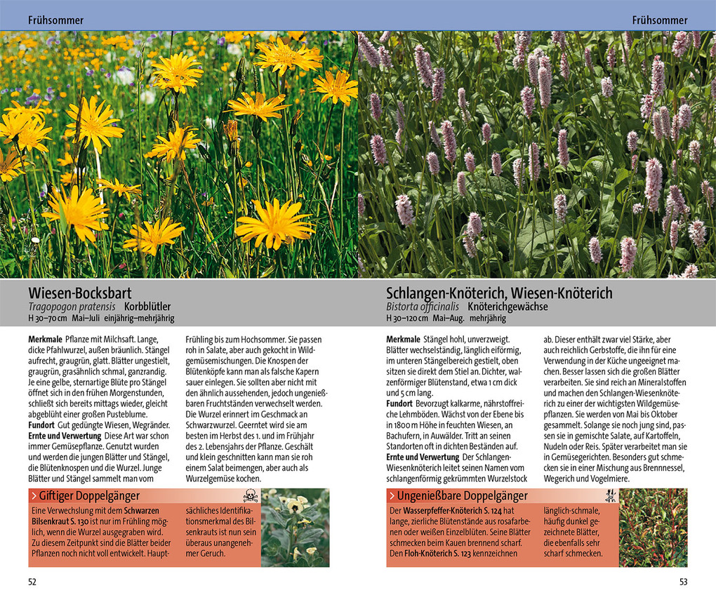 Weitere Ansicht: Essbare Wildkräuter und ihre giftigen Doppelgänger | Eva-Maria Dreyer