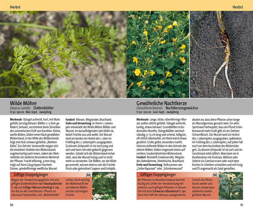 Weitere Ansicht: Essbare Wildkräuter und ihre giftigen Doppelgänger | Eva-Maria Dreyer