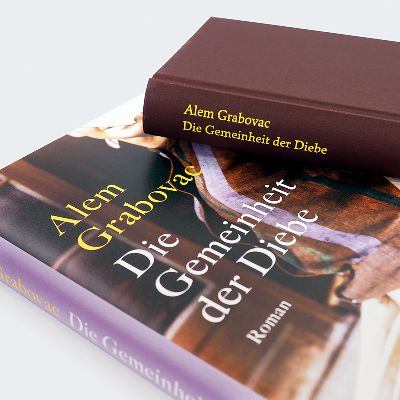 Weitere Ansicht: Die Gemeinheit der Diebe | Alem Grabovac