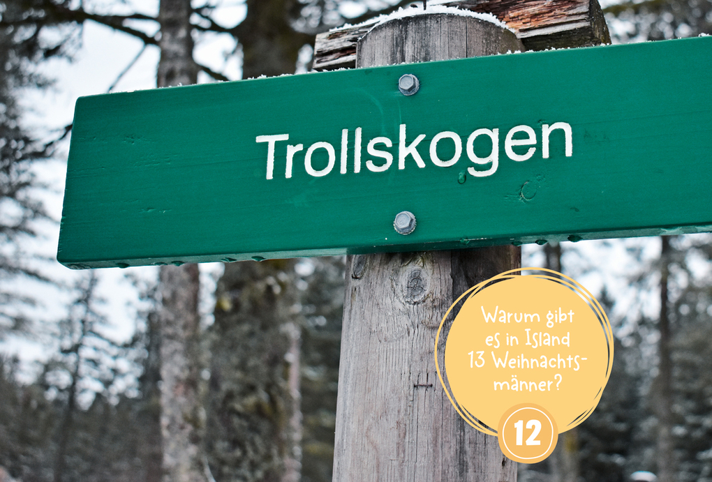 Weitere Ansicht: Mein WAS IST WAS Adventskalenderbuch 2 | Florian Kinast