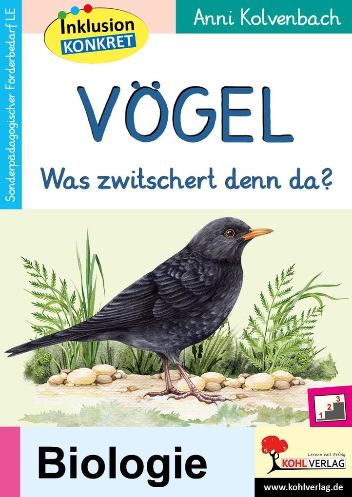 Produktbild: Vögel | Anni Kolvenbach