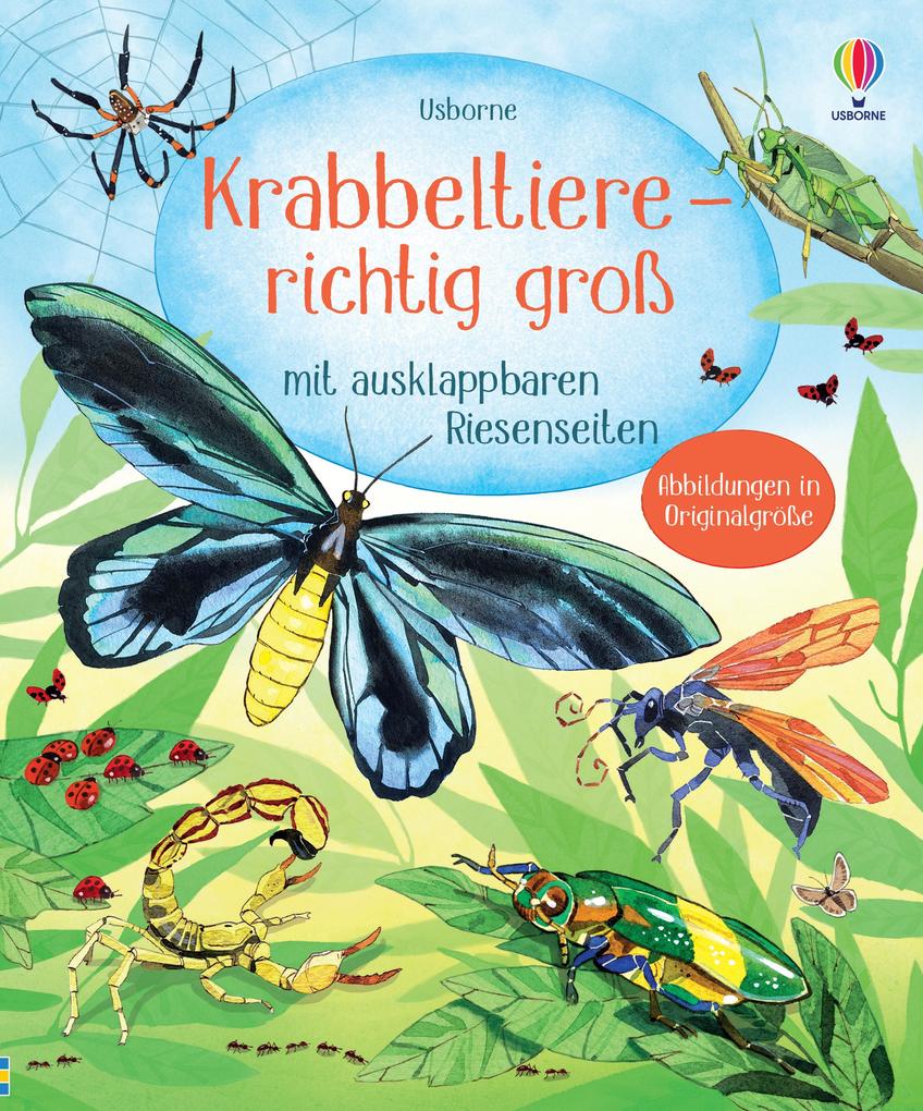 Produktbild: Krabbeltiere - richtig groß
