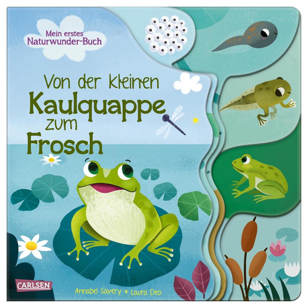 Produktbild: Von der kleinen Kaulquappe zum Frosch | Annabel Savery