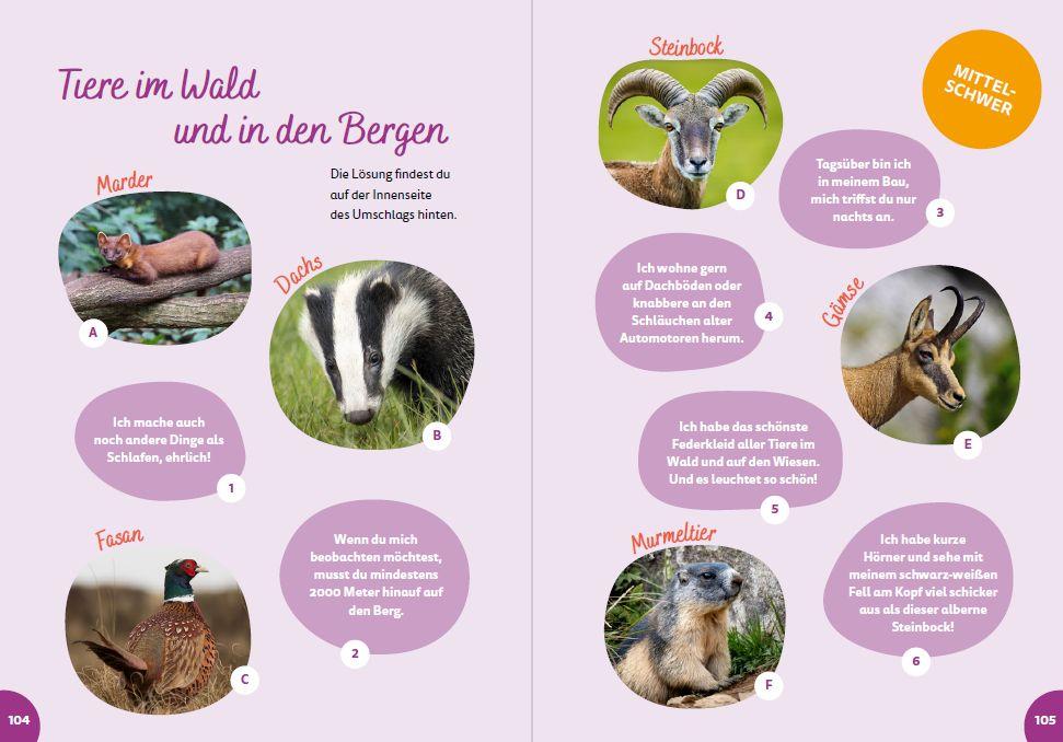 Weitere Ansicht: Österreich for kids | Britta Schmidt von Groeling