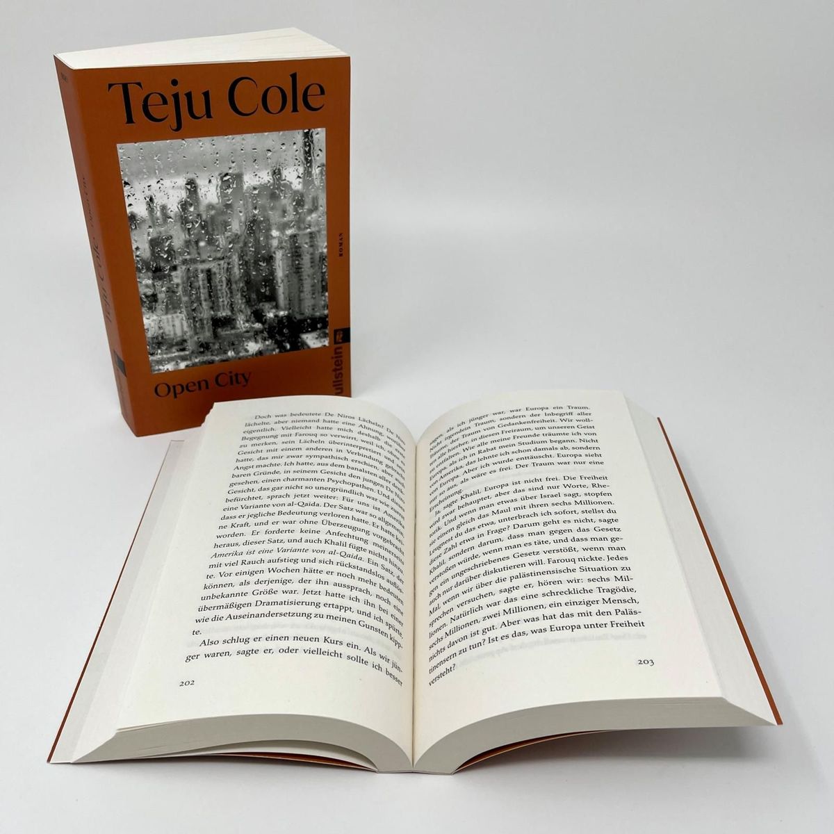 Weitere Ansicht: Open City | Teju Cole
