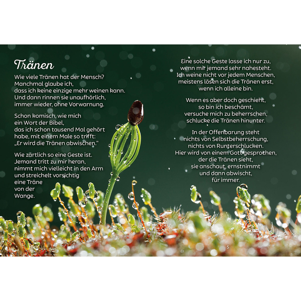 Weitere Ansicht: Geborgene Tränen | Teresa Wagner