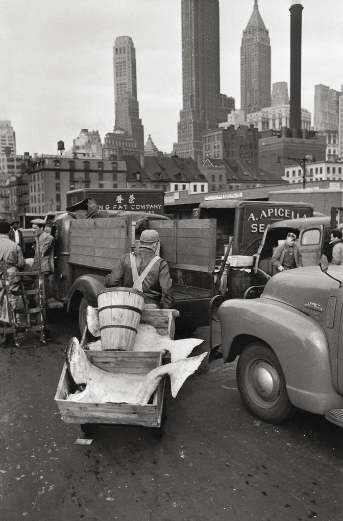Weitere Ansicht: Elliott Erwitt's New York | Elliott Erwitt