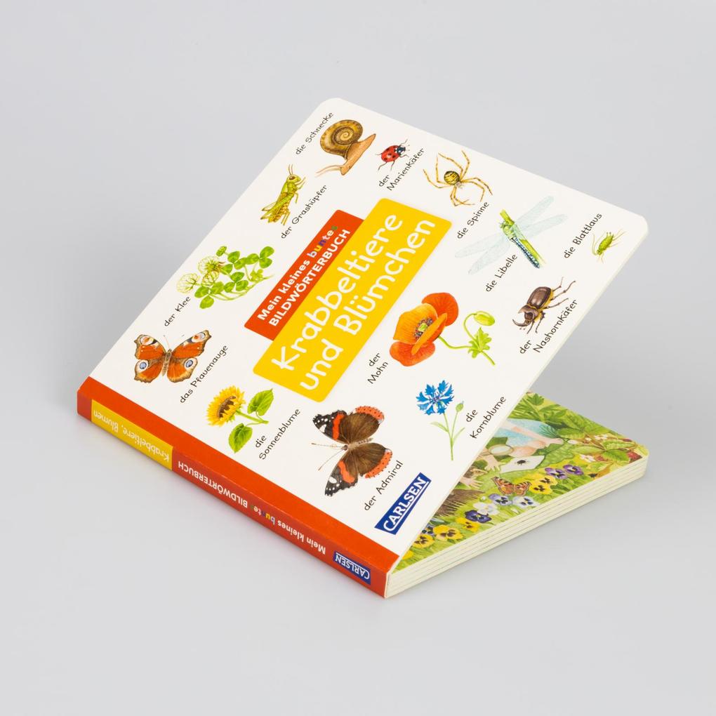 Weitere Ansicht: Mein kleines buntes Bildwörterbuch: Krabbeltiere und Blümchen