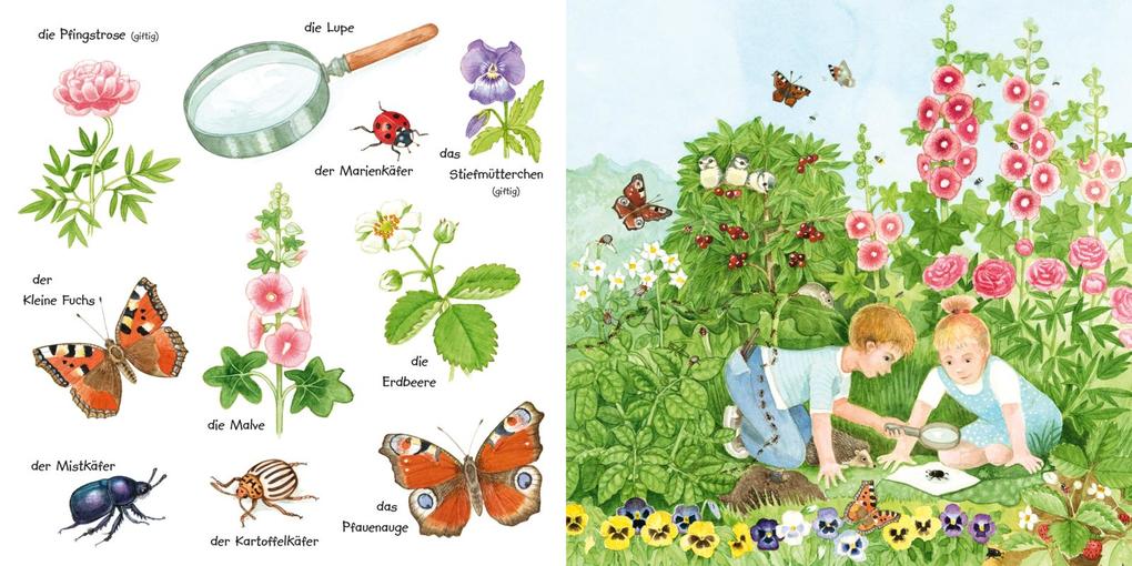 Weitere Ansicht: Mein kleines buntes Bildwörterbuch: Krabbeltiere und Blümchen