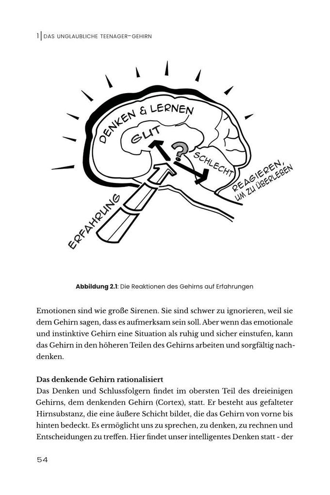 Weitere Ansicht: Das unglaubliche TEENAGER-GEHIRN | Bettina Hohnen, Jane Gilmour, Tara Murphy