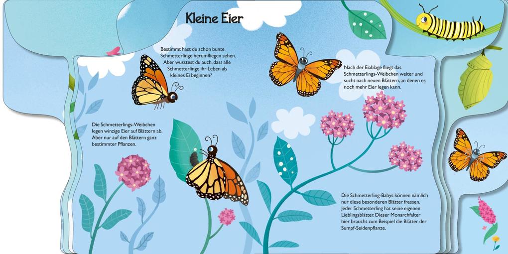 Weitere Ansicht: Von der kleinen Raupe zum Schmetterling | Annabel Savery