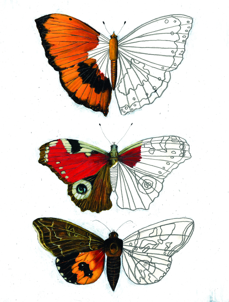 Weitere Ansicht: Flatterlinge | Carll Cneut