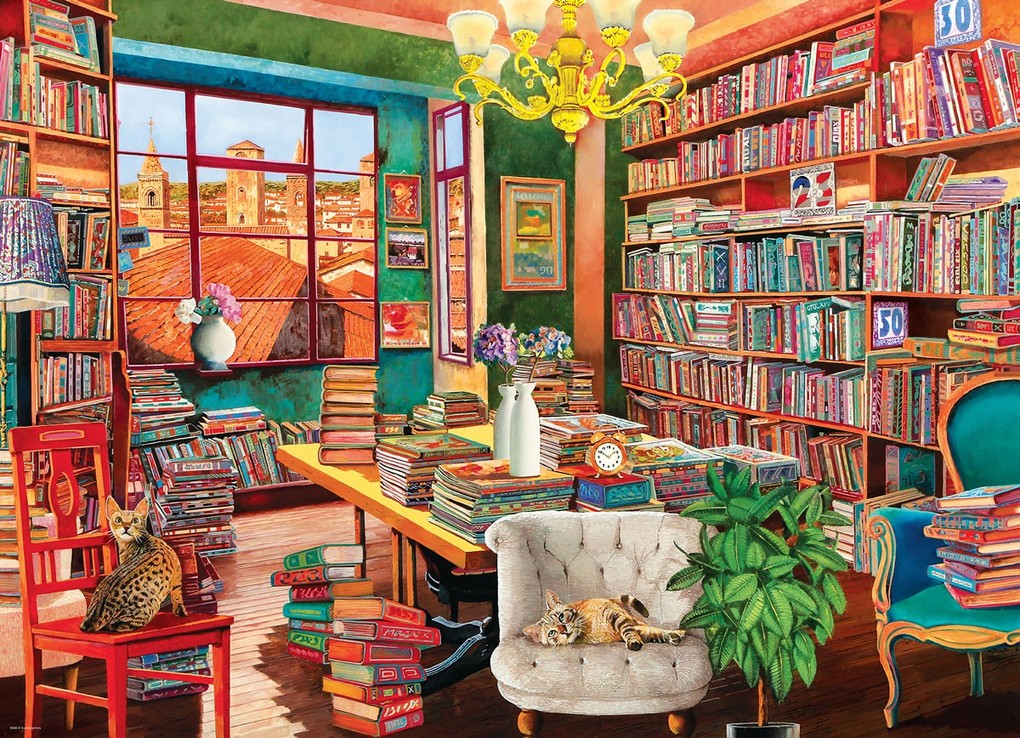 Weitere Ansicht: The Old Library by Guido Boerlli