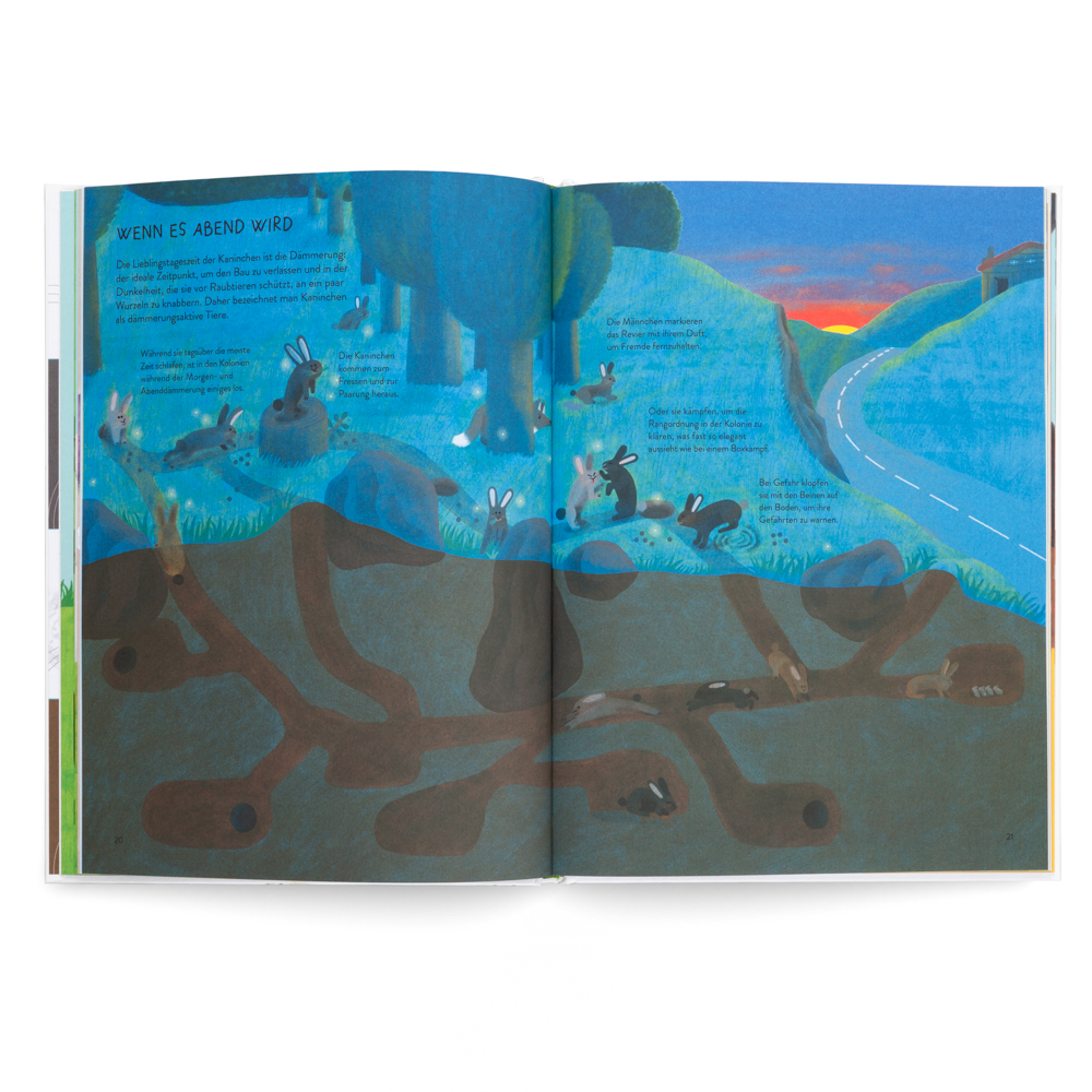 Weitere Ansicht: Nenn mich nicht Hase! | Ilaria Demonti