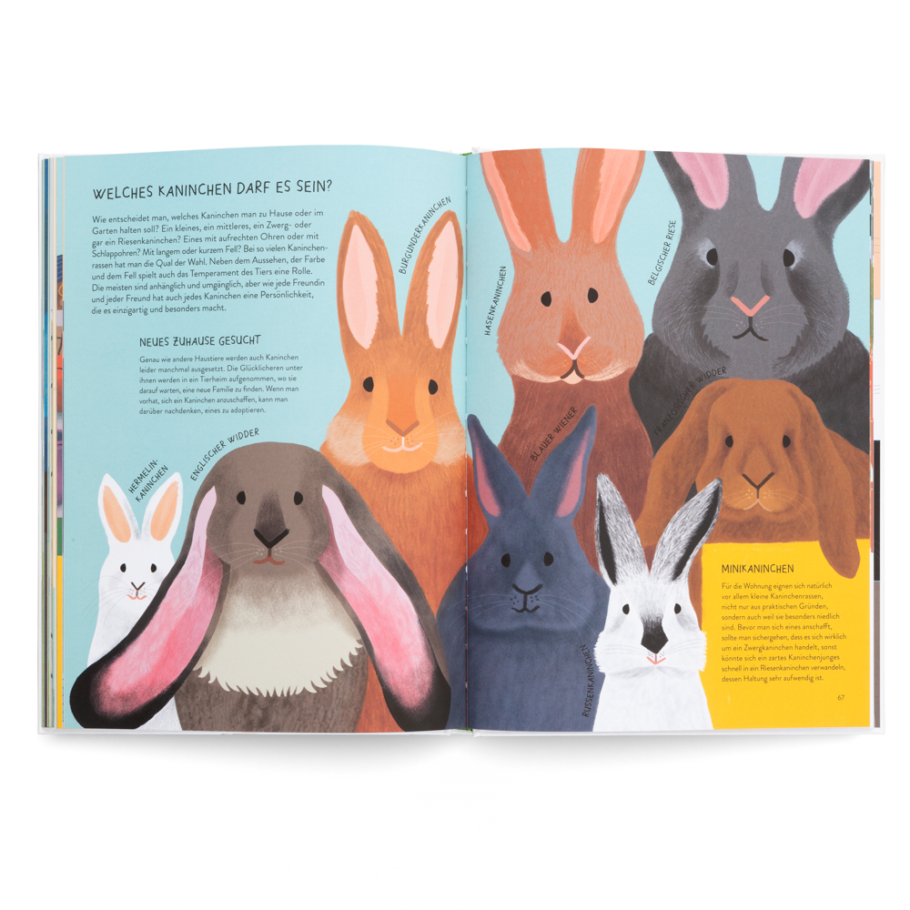 Weitere Ansicht: Nenn mich nicht Hase! | Ilaria Demonti