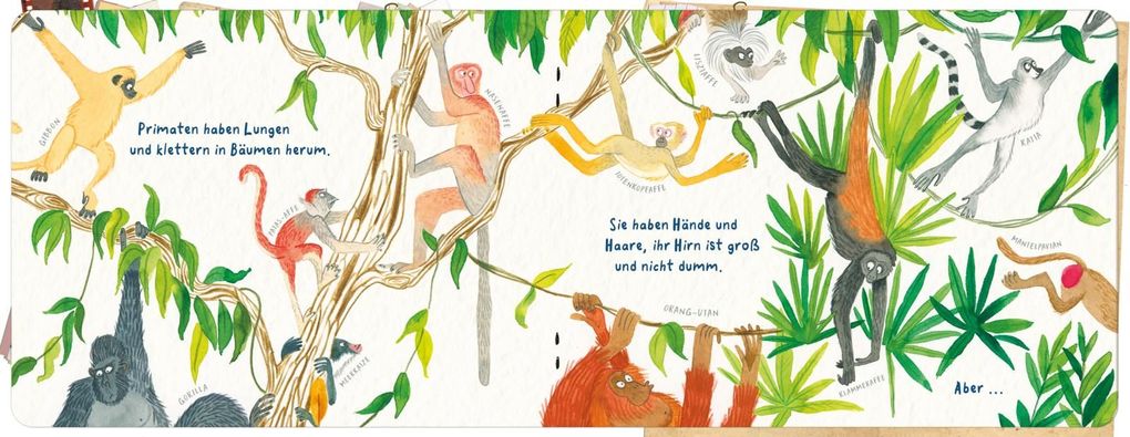 Weitere Ansicht: Abgedrehte Affen | Debra Kempf Shumaker