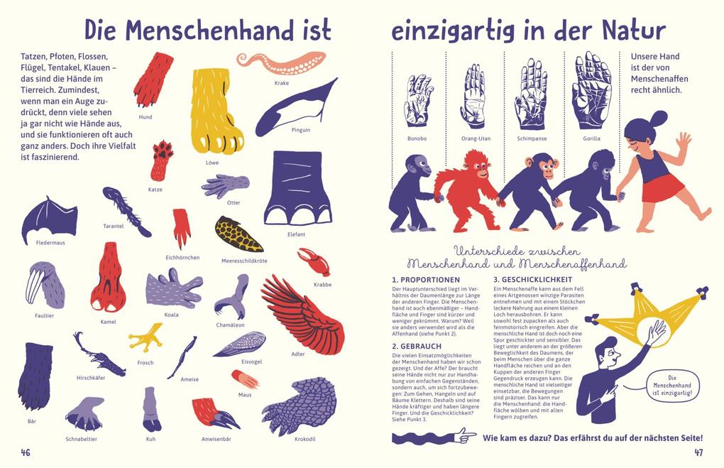 Weitere Ansicht: Alles über die Hand | Magda Garguláková