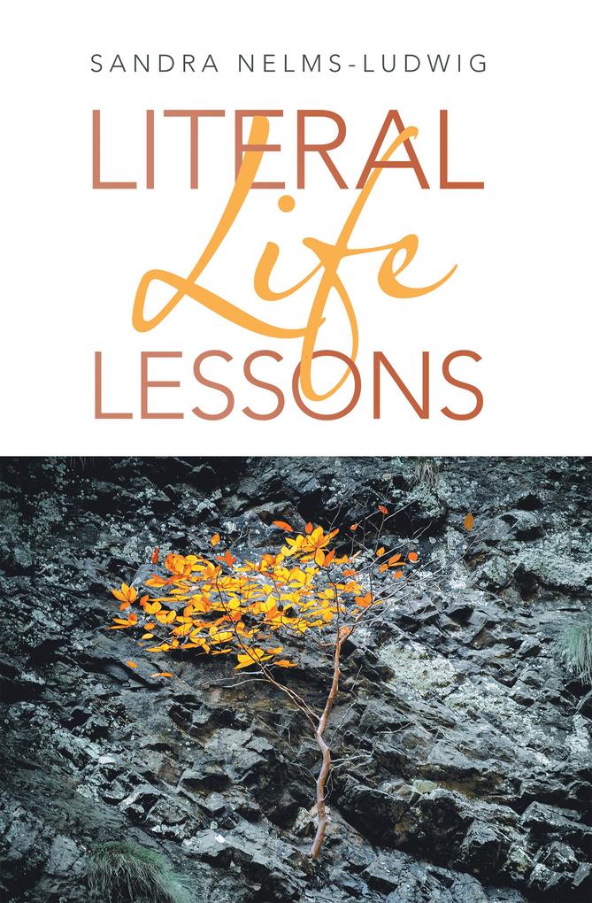 Produktbild: Literal Life Lessons | Sandra Nelms-Ludwig
