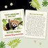Weitere Ansicht: Teddy-Hermann - Roter Panda 30 cm