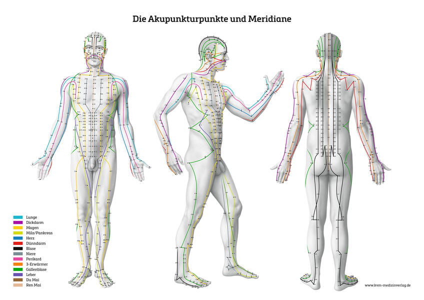 Produktbild: Lernposter - Die Akupunkturpunkte und Meridiane