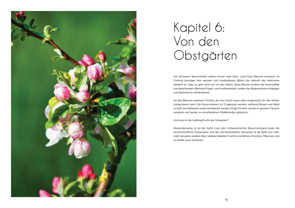 Weitere Ansicht: Schümli Pflümli & co | Andie Pilot