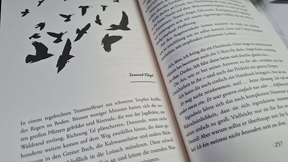 Weitere Ansicht: Krähennacht | Alexandra Kolb