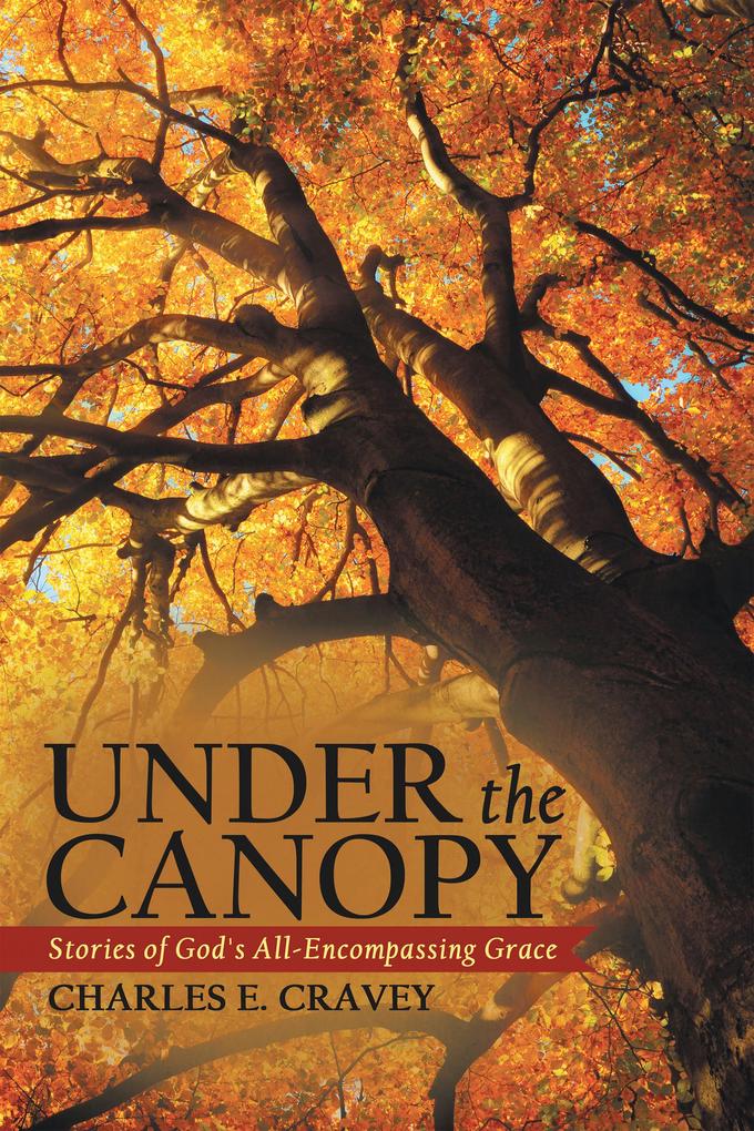 Produktbild: Under the Canopy | Charles E. Cravey