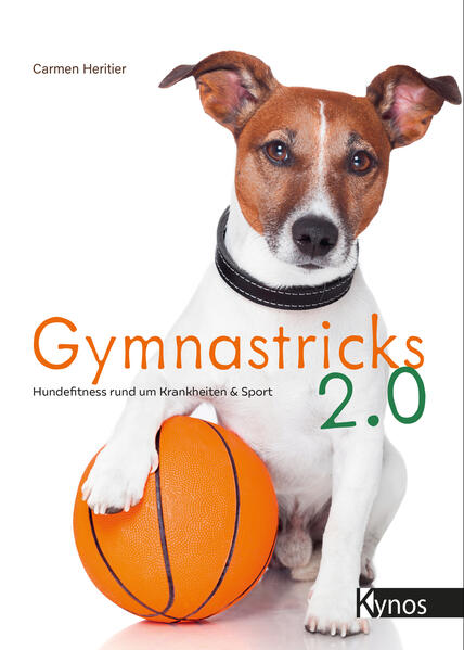 Produktbild: Gymnastricks 2.0 | Carmen Heritier