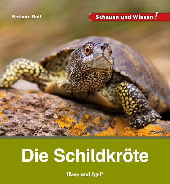 Produktbild: Die Schildkröte | Barbara Rath