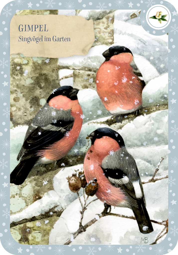 Weitere Ansicht: Schachtelspiel - Zauberhafte Vogelwelt