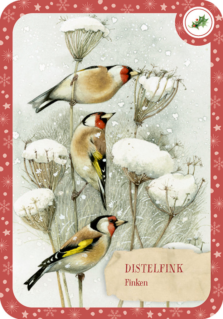 Weitere Ansicht: Schachtelspiel - Zauberhafte Vogelwelt