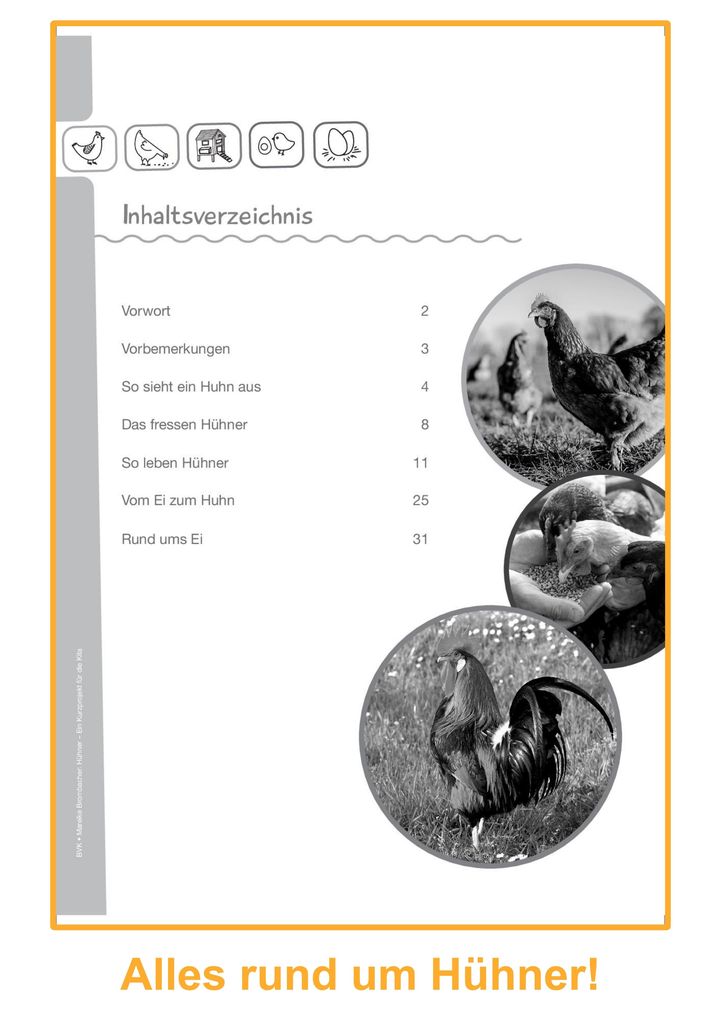 Weitere Ansicht: Hühner | Mareike Brombacher