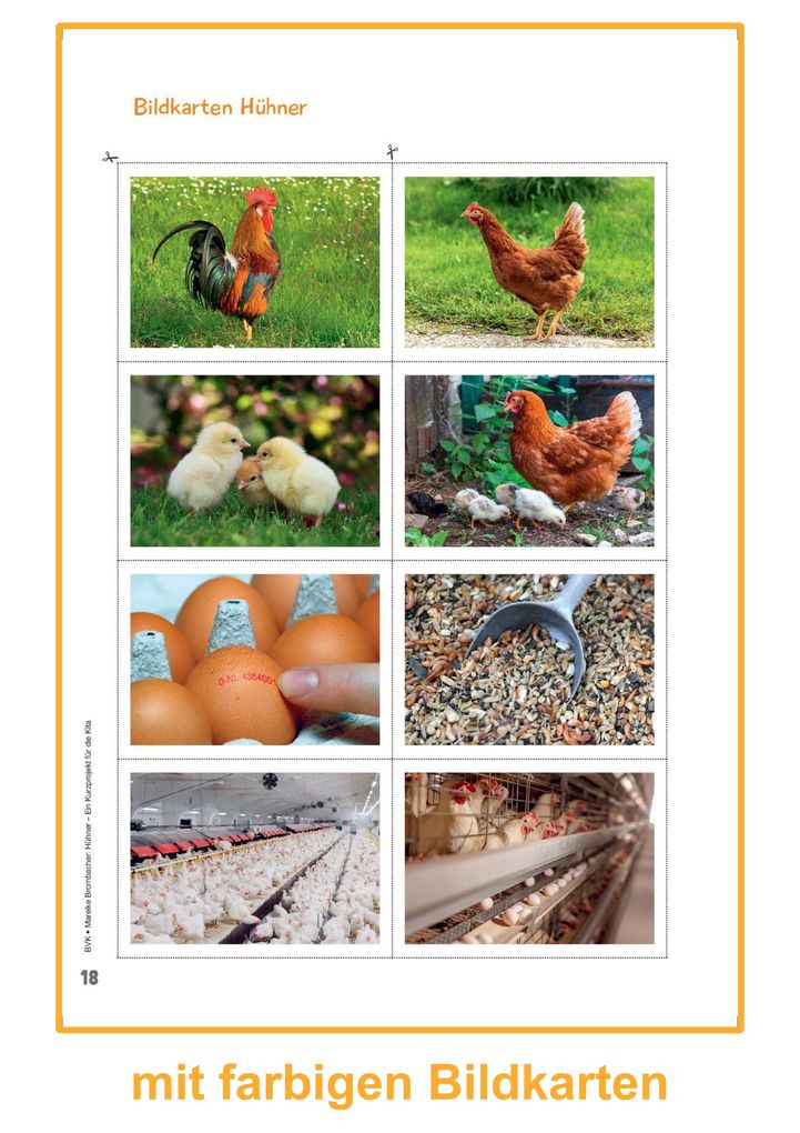 Weitere Ansicht: Hühner | Mareike Brombacher