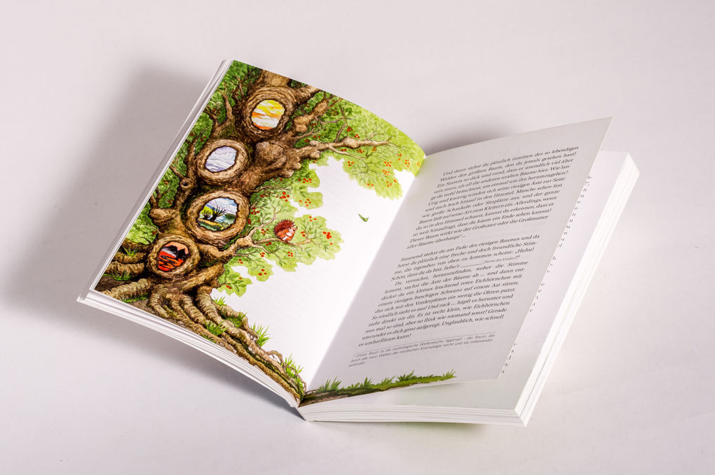 Weitere Ansicht: Drachenboot & Donnerkeil | Dirk Grosser, Jennie Appel