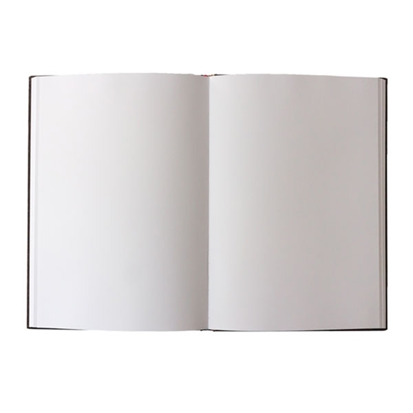 Weitere Ansicht: Dharma Dragon (Android Jones Collection) Grande Hardback Sketchbook (Elastic Band Closure) | Paperblanks