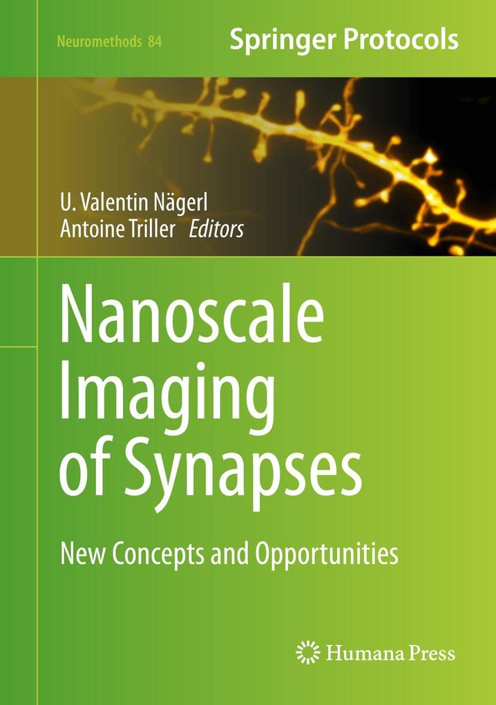 Produktbild: Nanoscale Imaging of Synapses